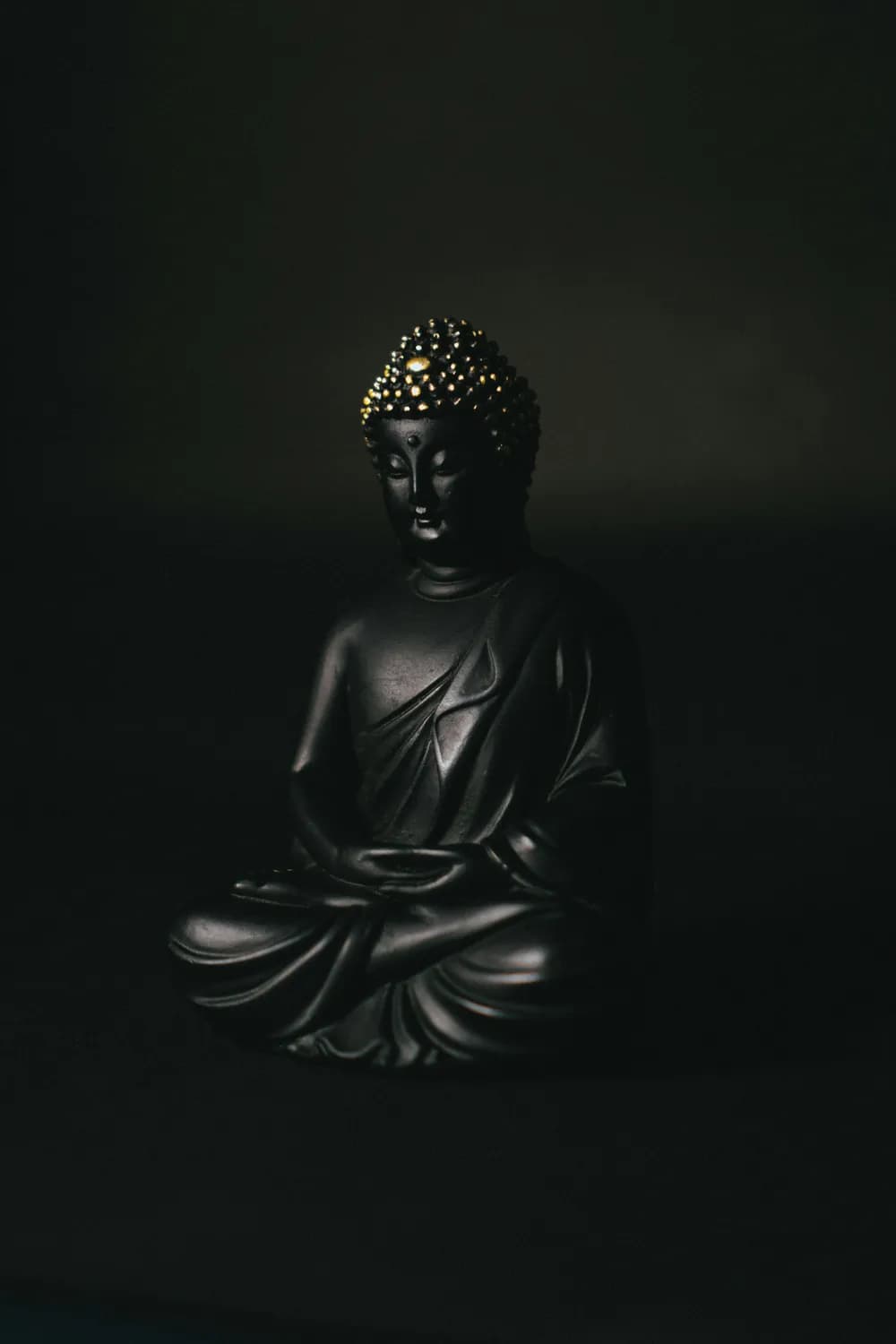 惠能大师的《菩提偈》与现代国潮文化的碰撞