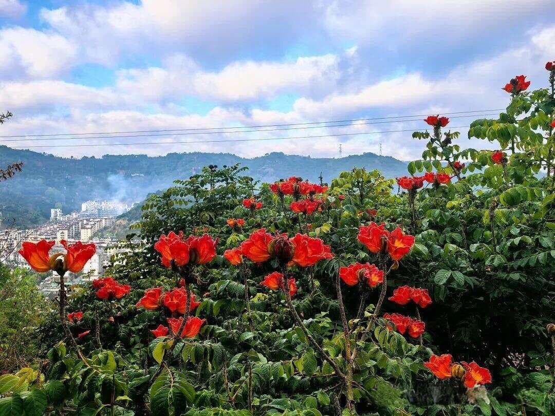 墨江北回归线标志园：世界规模最大的北回归线主题公园