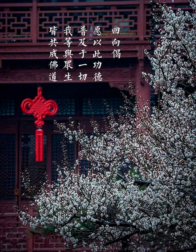 佛教常识：和尚与喇嘛的真正含义