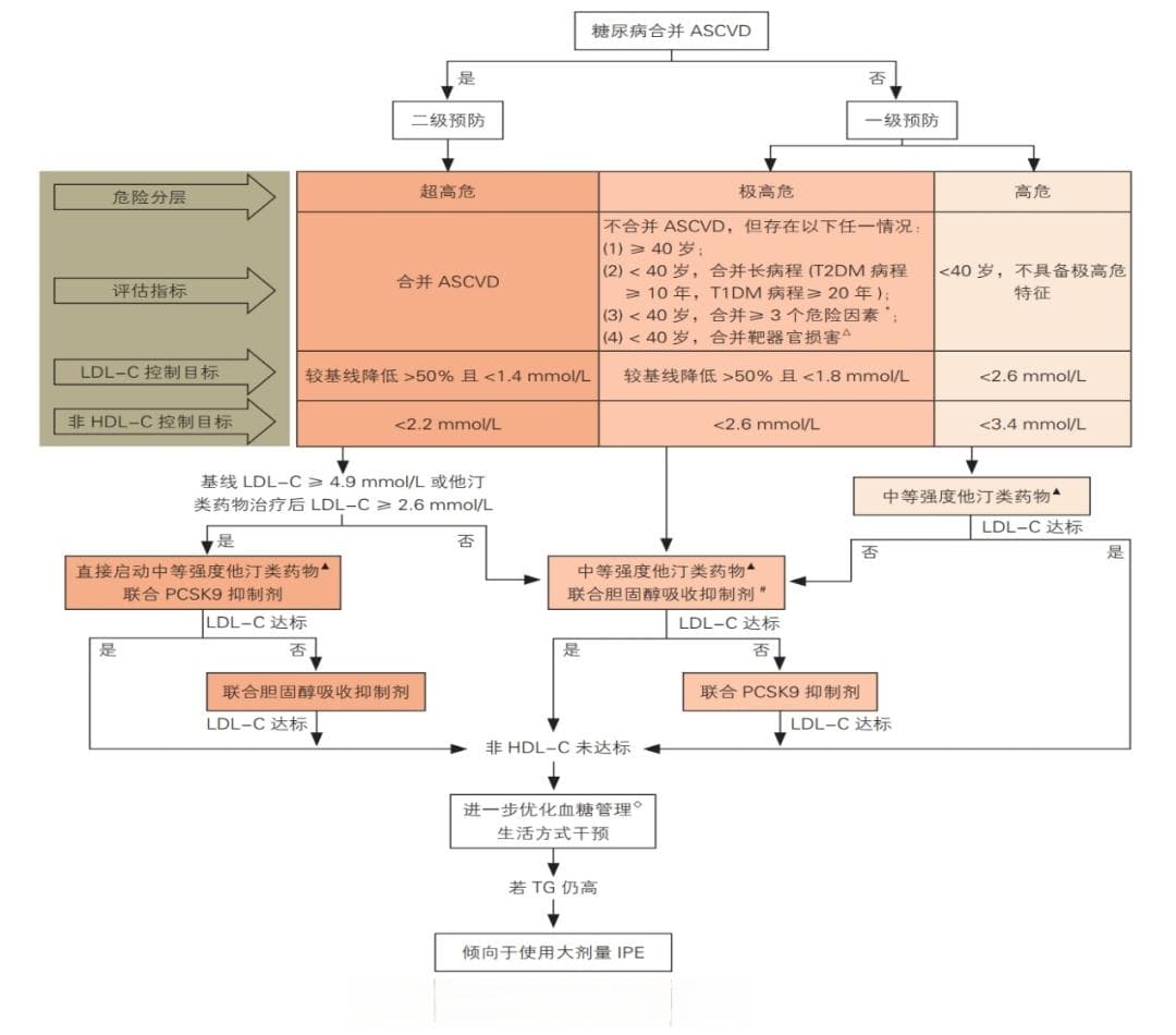 《糖尿病患者血脂管理中国专家共识（2024版）》 5 大要点解读