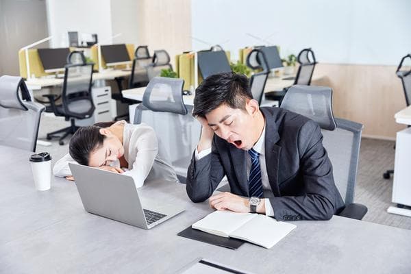 如何查询案件信息：案件信息公开渠道与方法