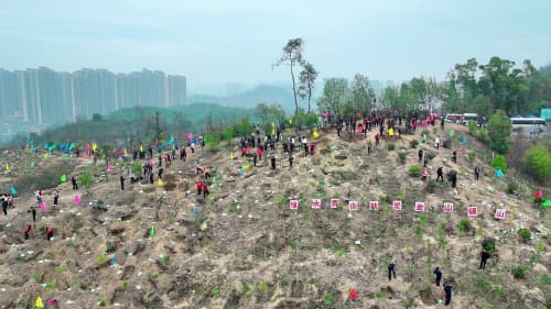 鄂州：植此青绿 共筑绿色家园