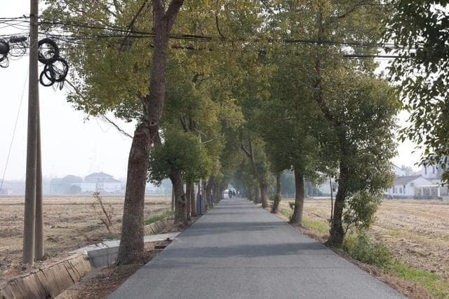 村级道路“白改黑”，村民出行更安全更便捷