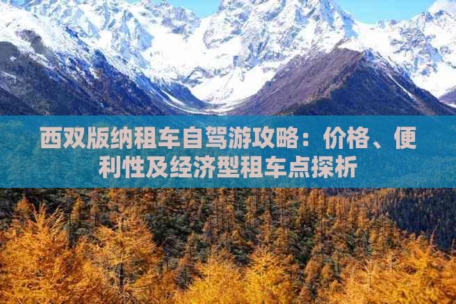 西双版纳租车自驾游攻略：价格、便利性及经济型租车点探析