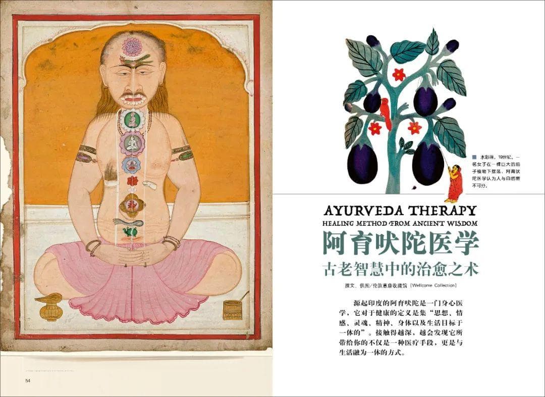 阿育吠陀医学：古老智慧中的治愈之术