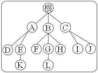 树型结构详解：从基础概念到平衡树
