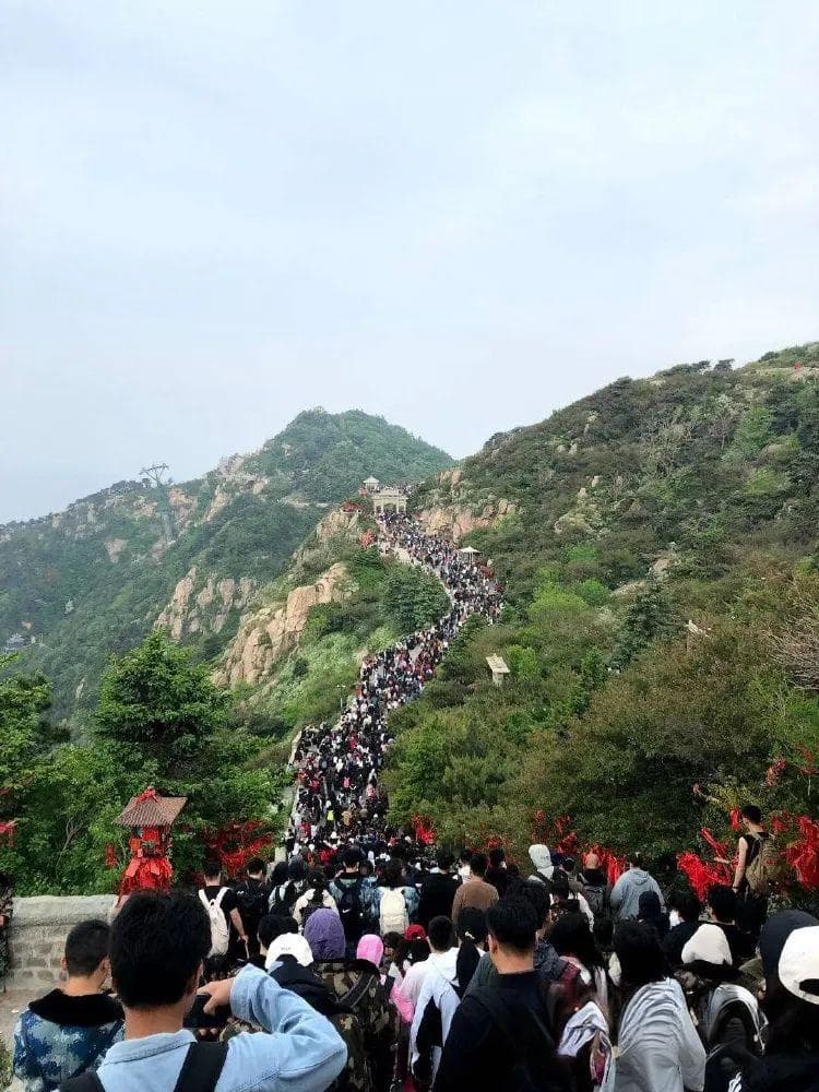 订单排到深秋！兼职“泰山陪爬”的大学生：不是导游，我们一对一服务