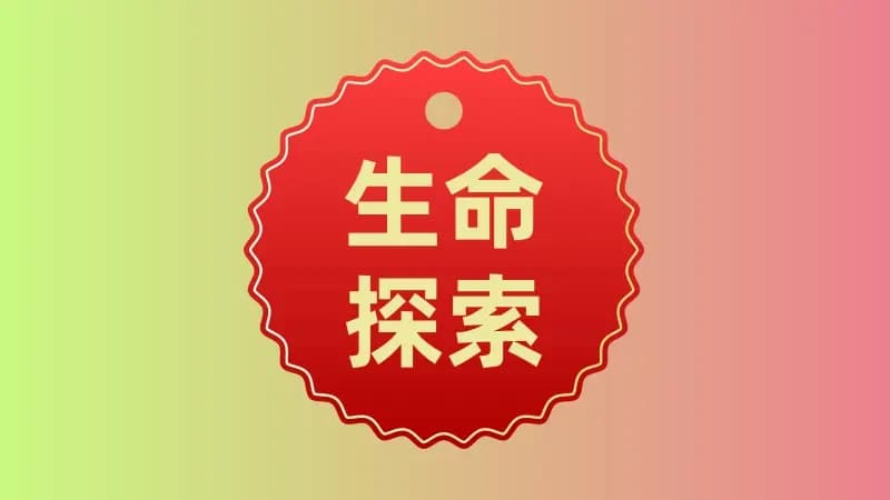 生命意义的多维探索
