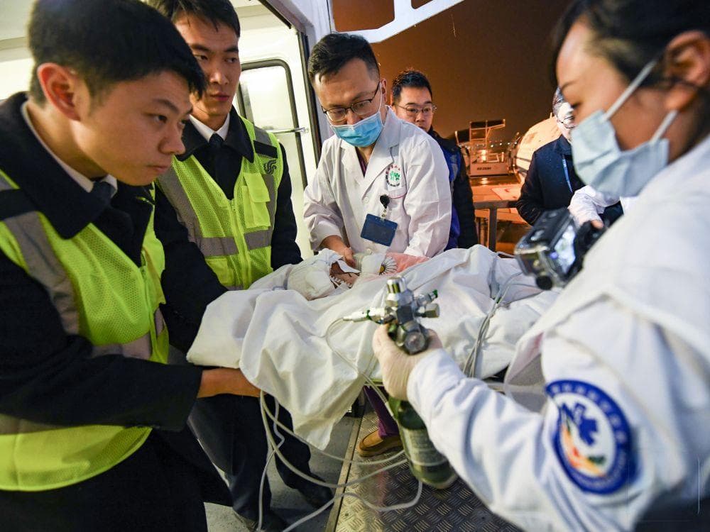 地震救援全流程解析：专家详解避险、医疗与心理援助