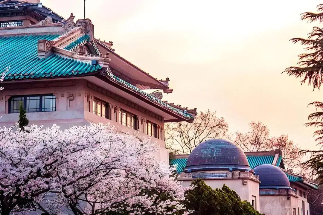 降分10-25分，武汉大学强基计划解读！