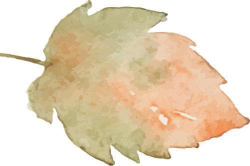 孩子接种疫苗后应当注意些什么？