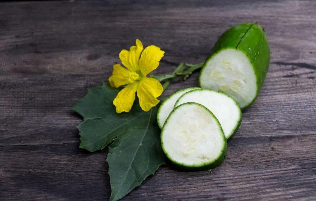 丝瓜络的药用价值：从传统到现代的多重功效
