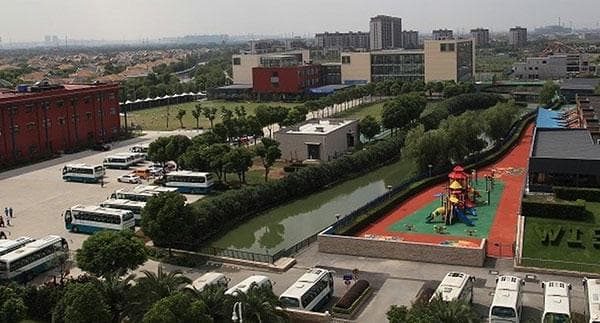 国际小学和公立小学有什么不同？教育体系 课程设置