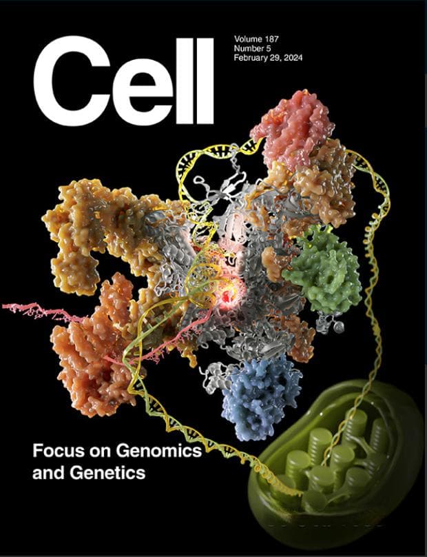 Cell背靠背 | 封面！张余/周菲等团队合作揭示叶绿体基因转录的分子机制