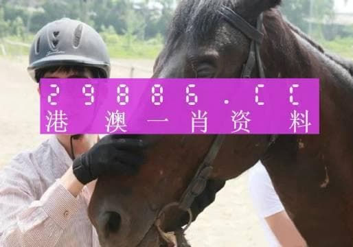 晚上澳门一肖一码必中一肖，揭示背后的风险与挑战