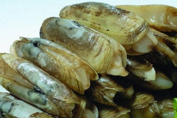 蛏子营养价值高，两种烹饪方法让美味更健康