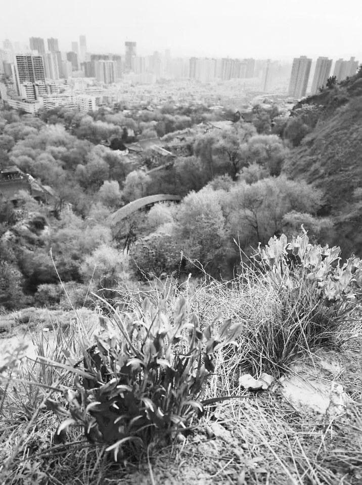 黄河穿城、皋兰为屏，兰州古今文化荟萃