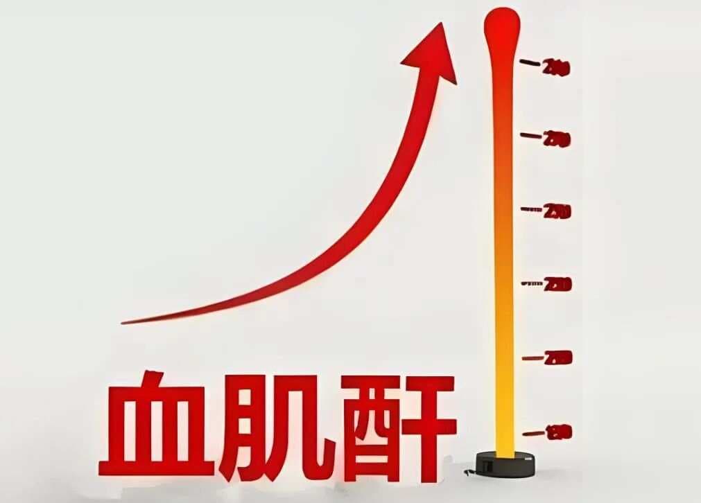 肌酐升高不要慌！这几种常见的蔬菜，可以降肌酐!