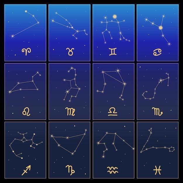 狗狗年龄对照表：如何科学计算狗狗的年龄？