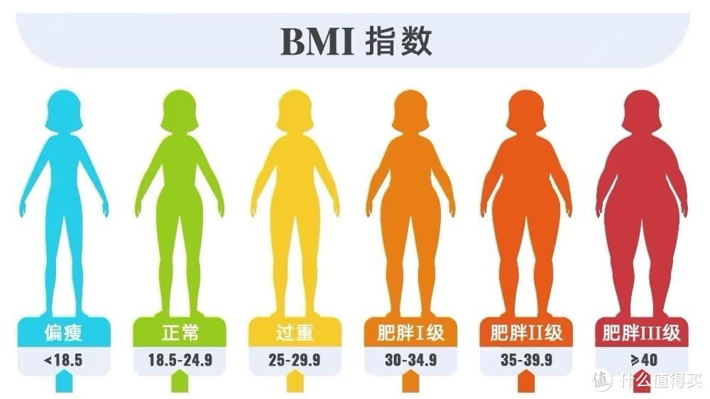 科学减肥：28天健康调整，轻松瘦身不反弹