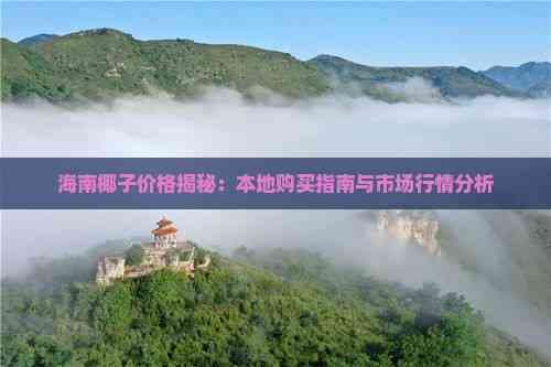 海南椰子价格揭秘：本地购买指南与市场行情分析