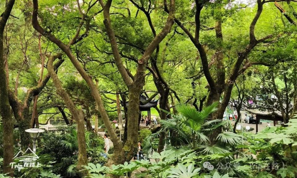 浙江宁波这个最热闹的市井公园，曾是衙署后花园，自然与人文兼备