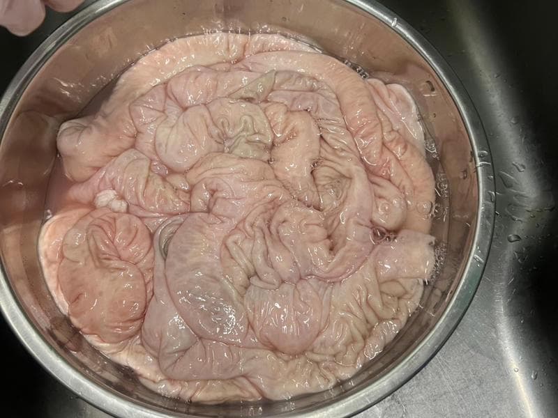 红烧肥肠：从清洗到烹饪的完整指南