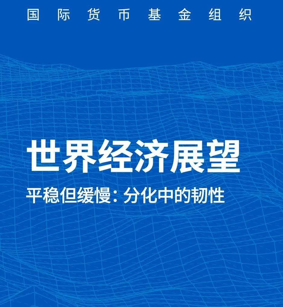 国际货币基金组织：2024世界经济展望报告