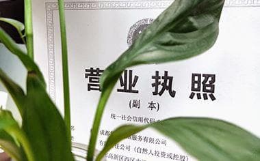 营业执照经营范围变更全流程指南