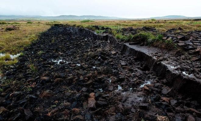 【地理拓展】高考地理中的泥炭沼泽、独特的三江并流