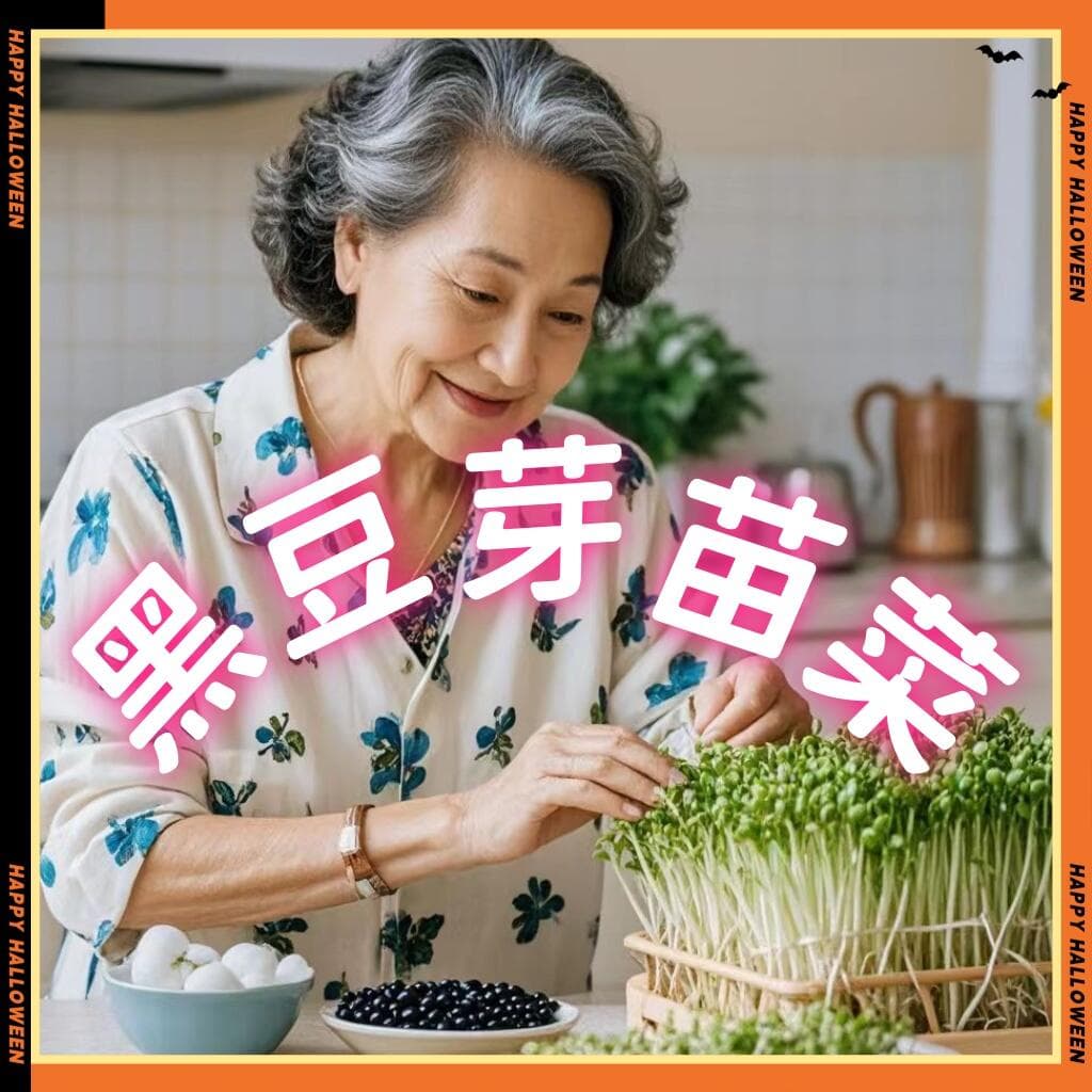 黑豆芽苗生产技术