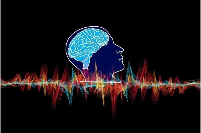 从癫痫诊断到认知增强：脑电图技术的百年突破