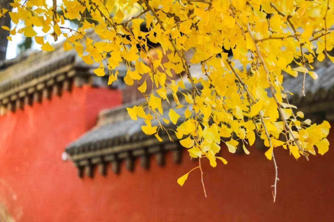 佛教中的那些称谓