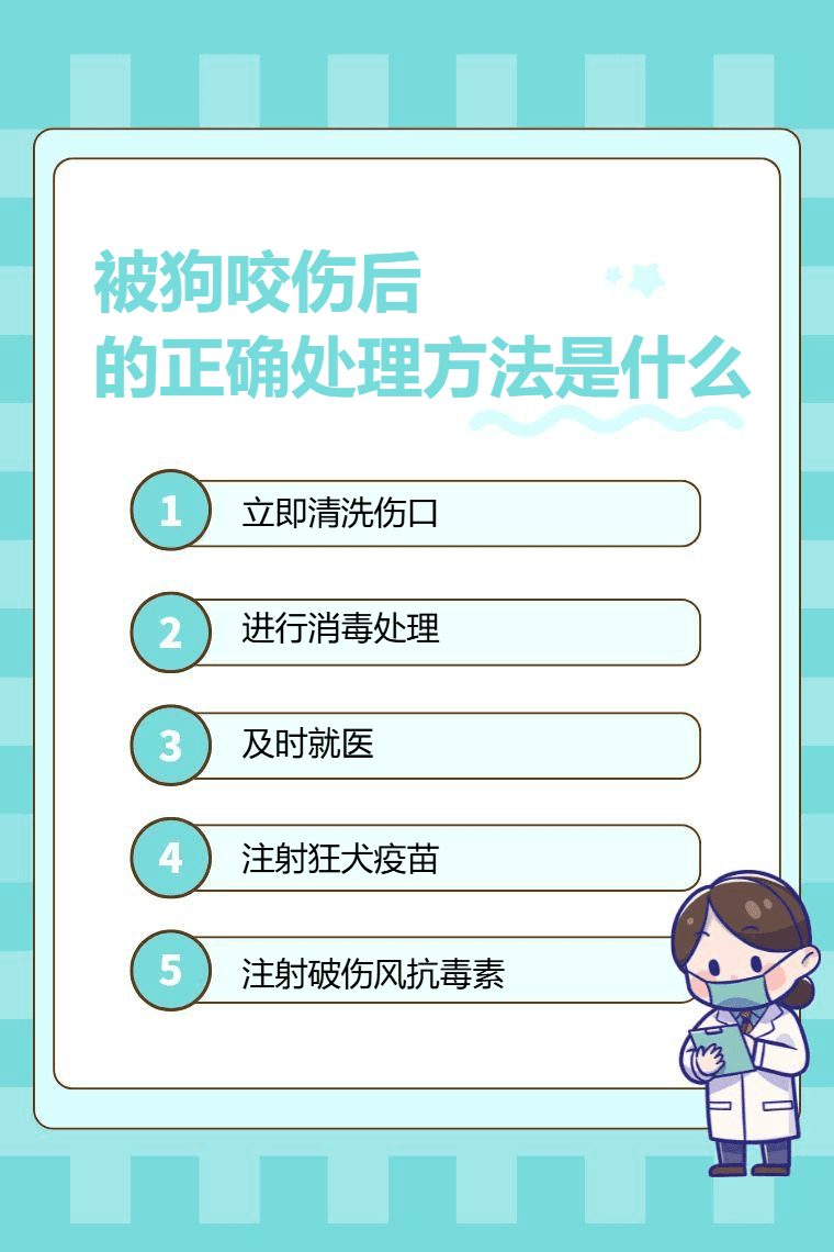 被狗咬伤后的正确处理方法是什么