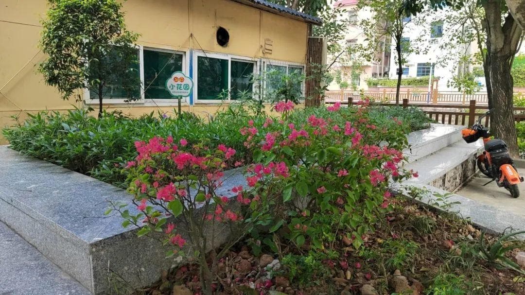 坦洲镇“美丽庭院”建设经验：以“小”美带动乡村“大”美