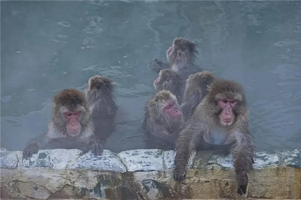 温泉究竟是如何形成的？一文读懂温泉的来龙去脉