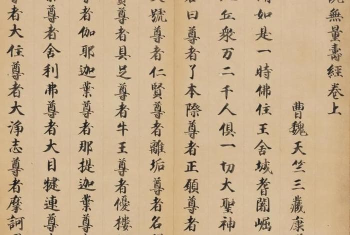 无量寿经白话讲解：第二卷视频详解