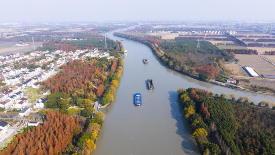 沪水畔 慢时光丨青浦：去生态田园 赏水美乡村