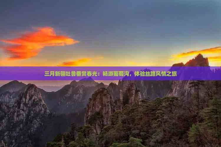 三月新疆吐鲁番赏春光：畅游葡萄沟，体验丝路风情之旅