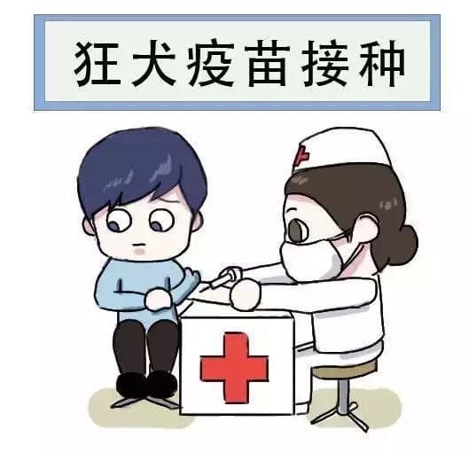 狂犬病：你不知道的那些事