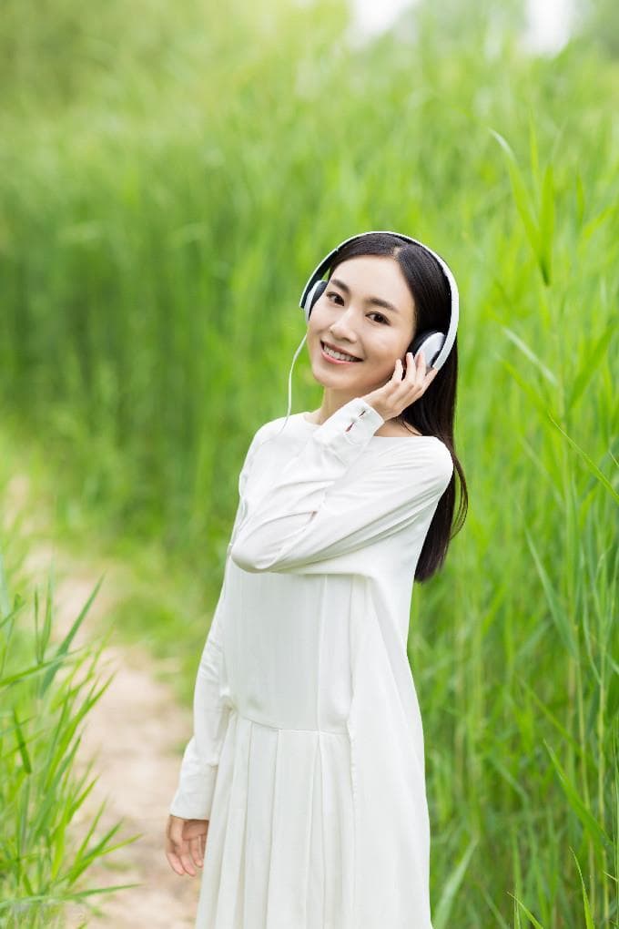 超越丛林法则：理解社会本质的新视角