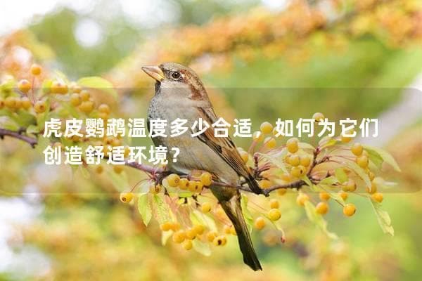 虎皮鹦鹉温度多少合适，如何为它们创造舒适环境？