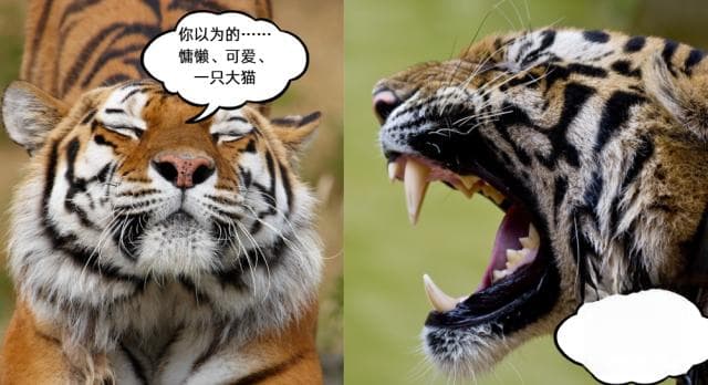 《水浒传》里的武松真能把老虎打死吗？