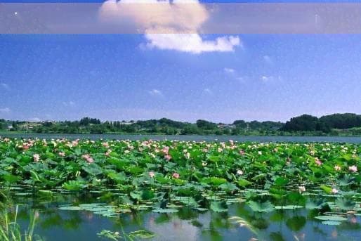 海南广西旅游攻略：海岛度假与山水观光的最佳选择