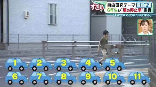 过斑马线没人礼让，日本小学生好奇，站路边调查12天，结果...