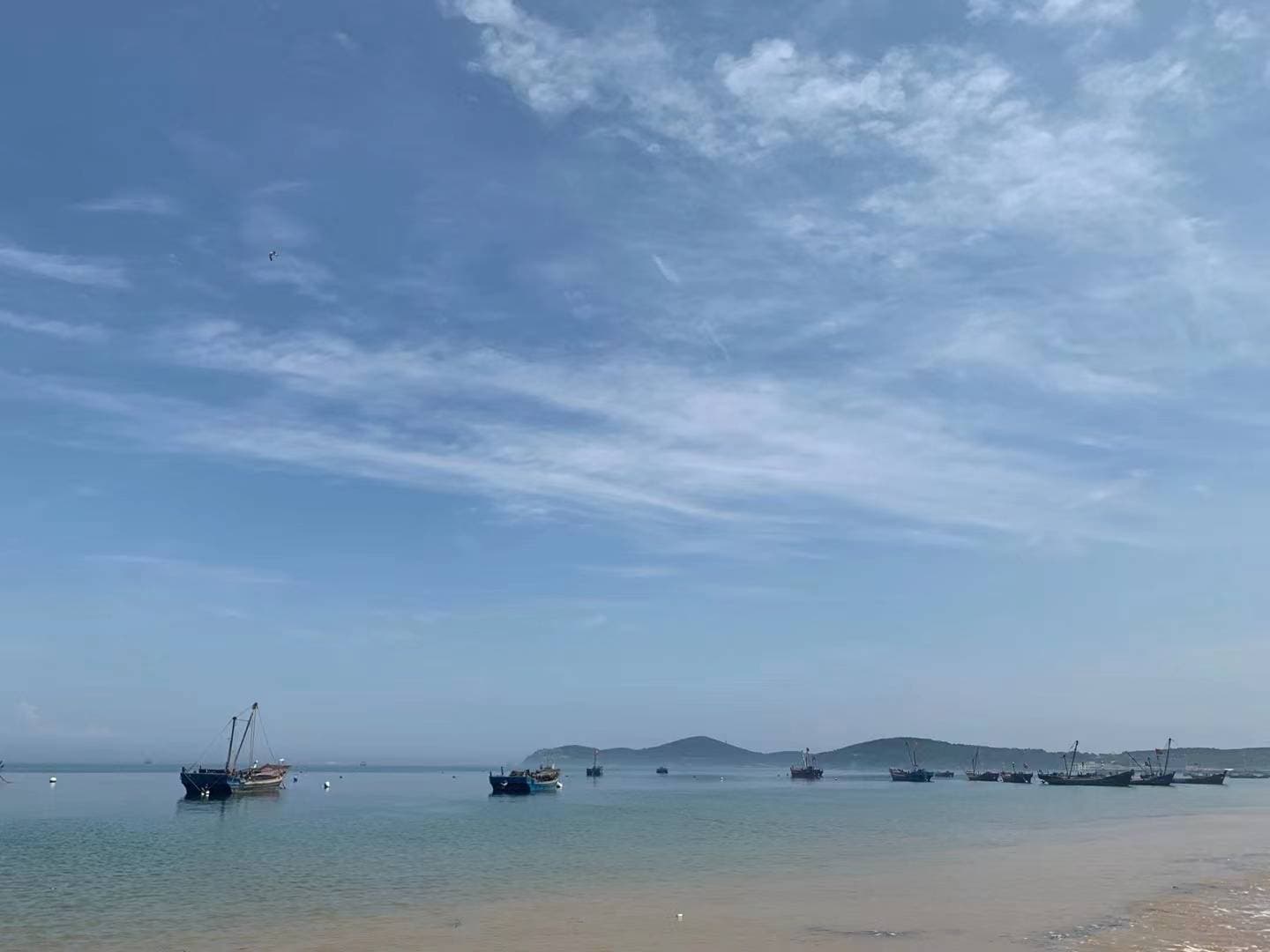 新手司机必读：如何安全度过实习期