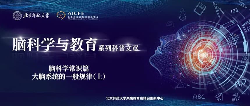 脑科学与教育蓝皮书：大脑系统的一般规律（上）