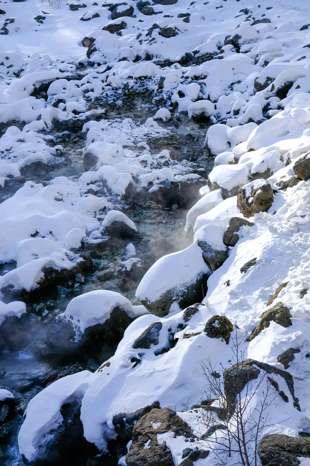 春节打卡长白山，雪景和温泉一个都不能少！