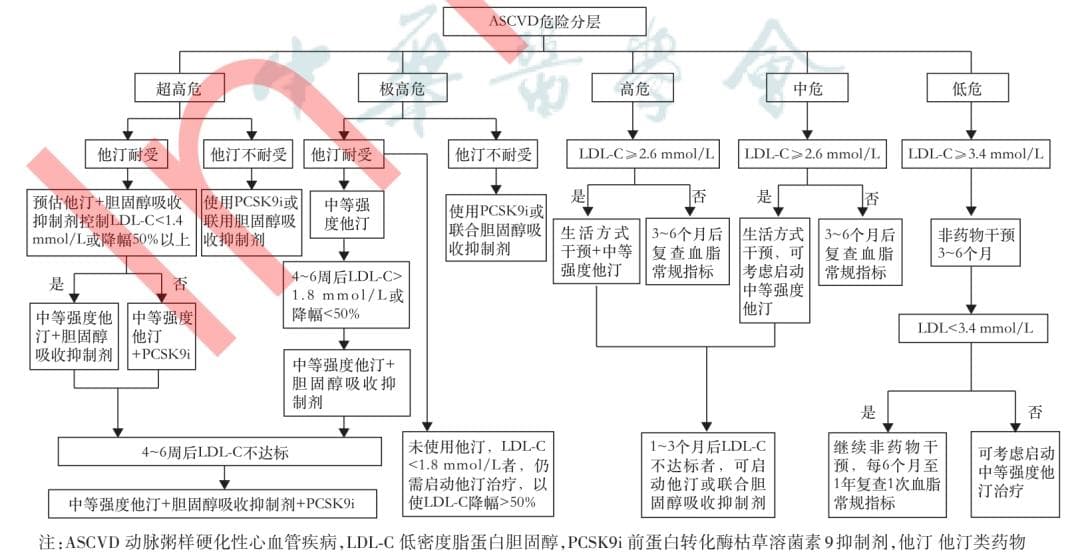 《社区成人血脂管理专家共识（2024年）》发布！LDL-C成防控首要靶点