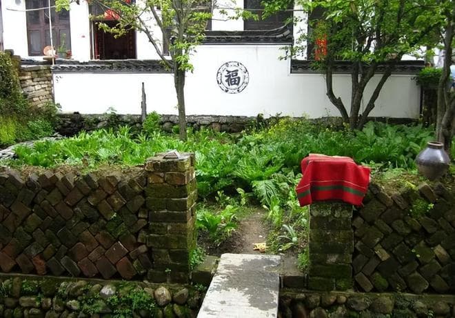 农民在自家院子中打水也违法？打井被罚款10万元，问题出在哪里